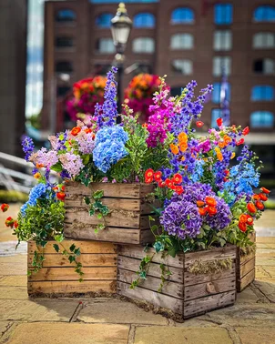 St. Catherine's flowers